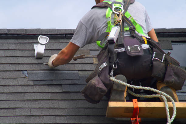 Best Roof Gutter Cleaning  in Suitland, MD