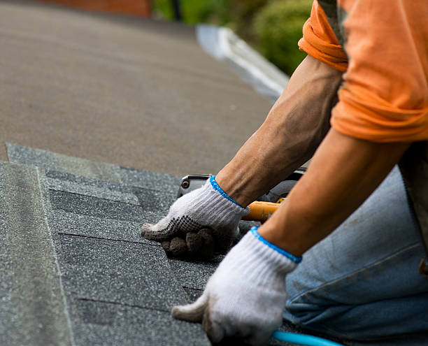 Best Roof Repair Services  in Suitland, MD